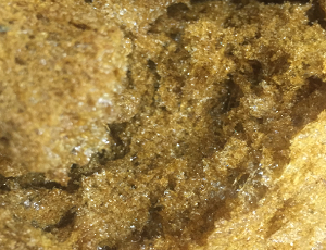 Traditional Chinese medicine extract dried by microwave vacuum expansion