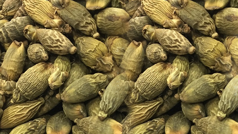 Microwave vacuum low-temperature dryer areca fruit