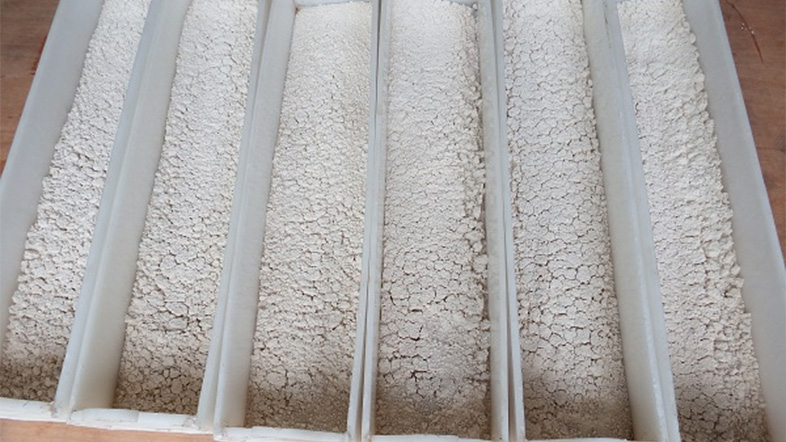 Tea polyphenols dried by microwave vacuum at low temperature