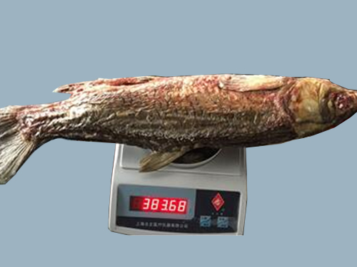 Dried herring under microwave vacuum and low temperature